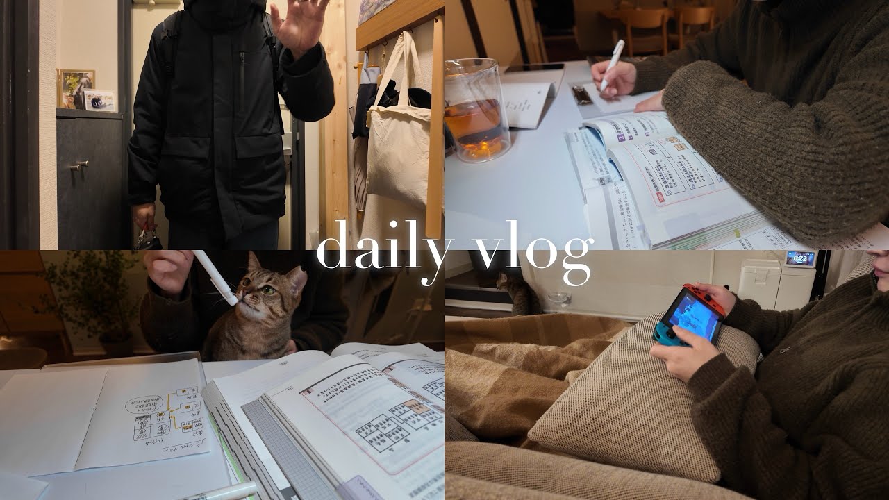 vlog｜夫不在の夜、私と猫2匹夜の過ごし方🐈🐈/あつ森/簡単夜ごはん/勉強