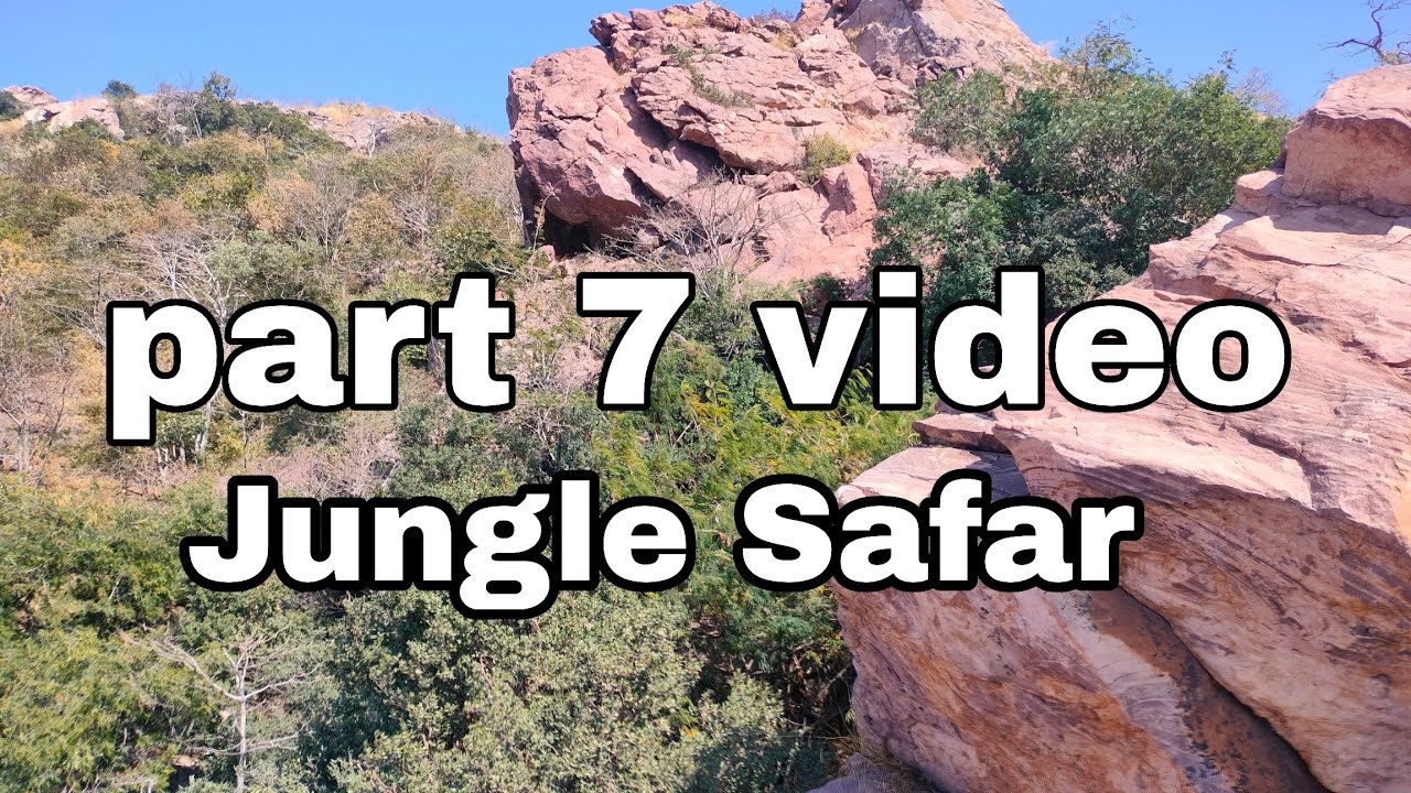 Laxman lahre viral vlogs part 7 video jungle Safar 