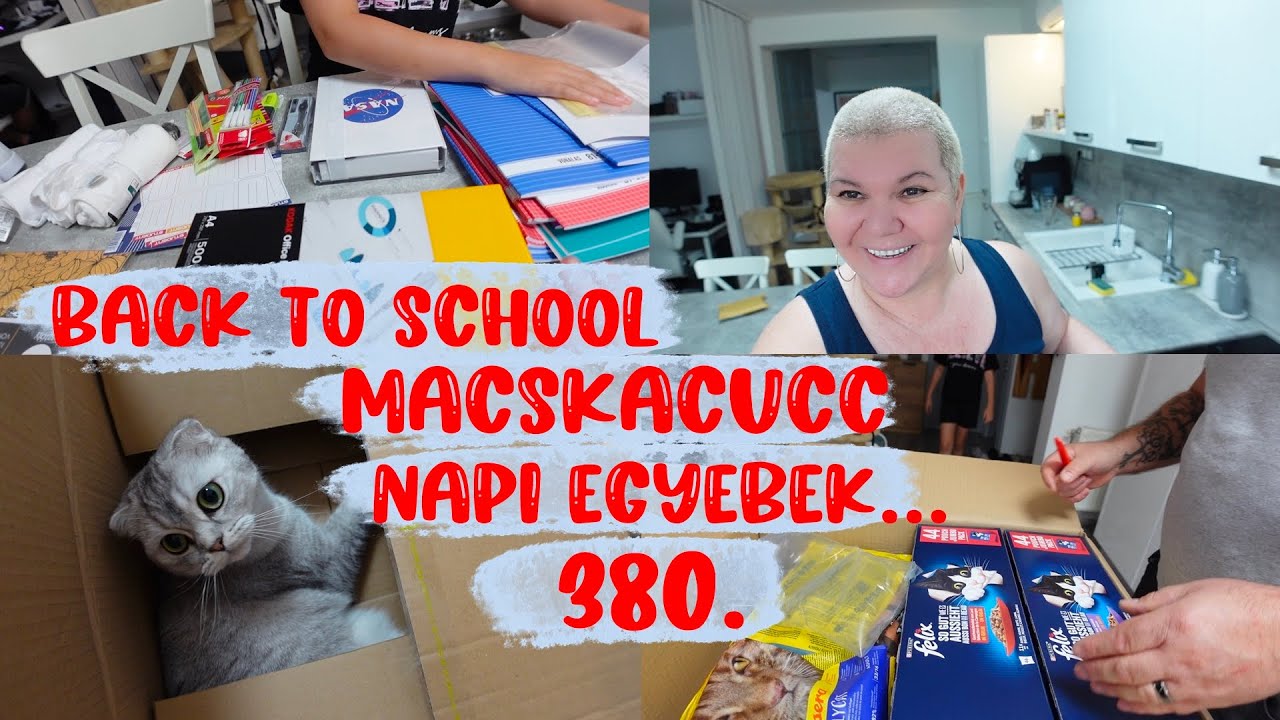 Napi dolgok, back to school és akciós macskacucc. 380.rész