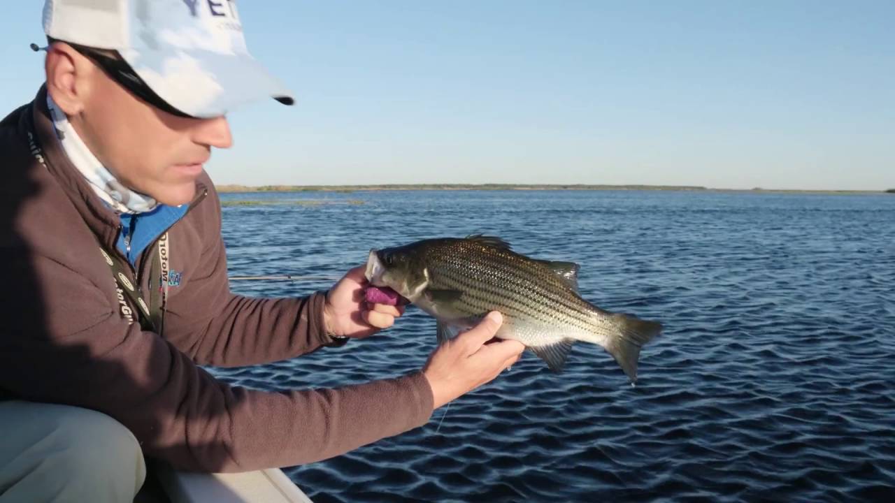Reel Time Florida Sportsman - St. Johns River Run
