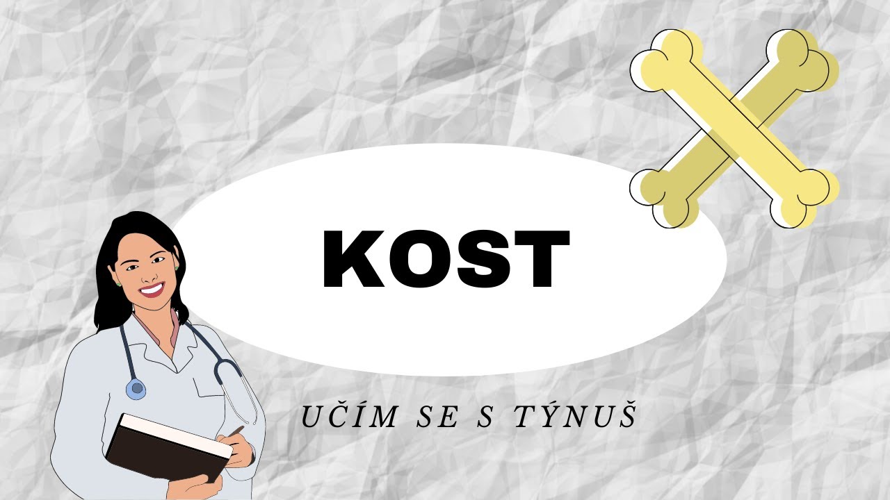 KOST - Vše co potřebujete vědět