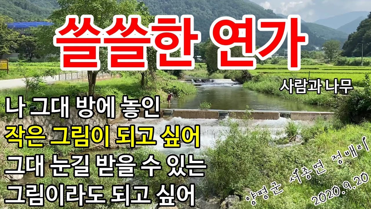 쓸쓸한 연가 / 사람과 나무