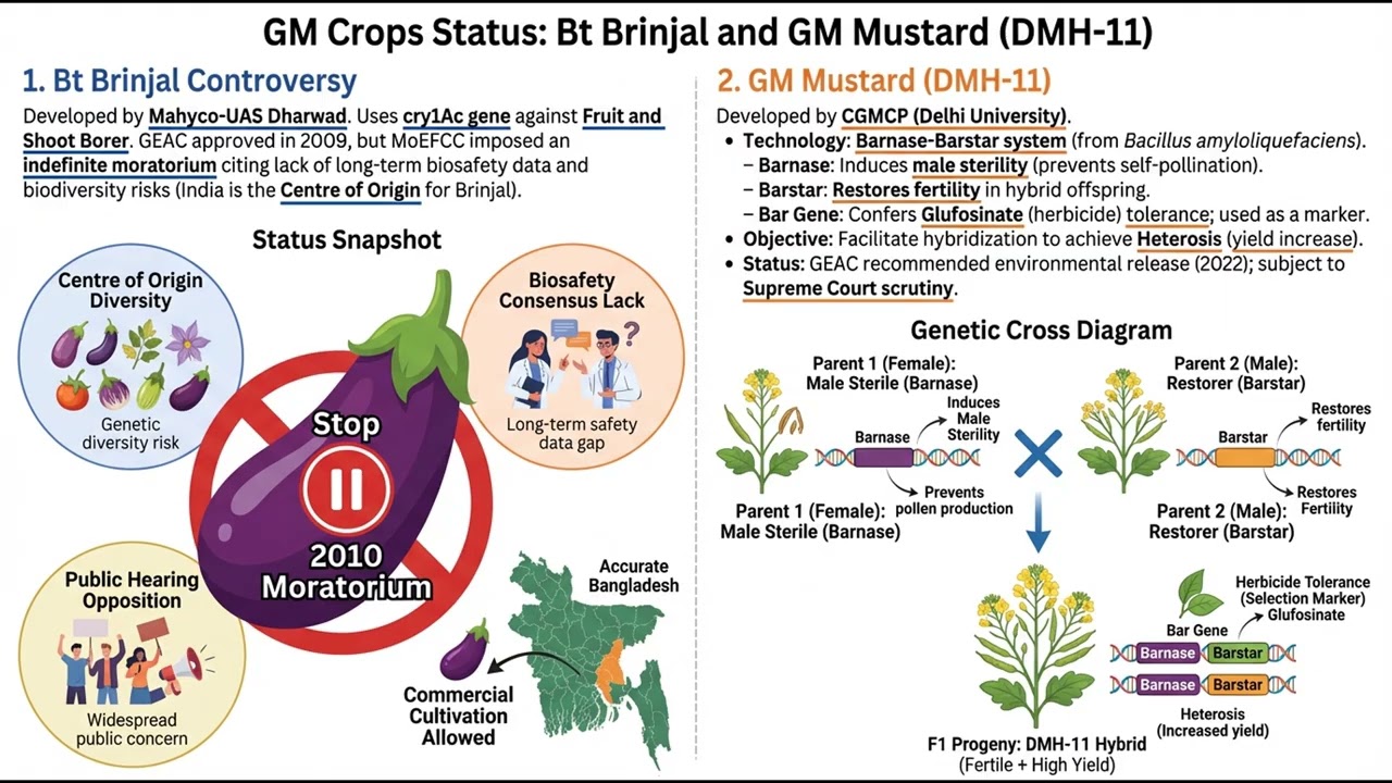 Genetic Engineering, Biosafety, and GMOs (ECO-G2.17)