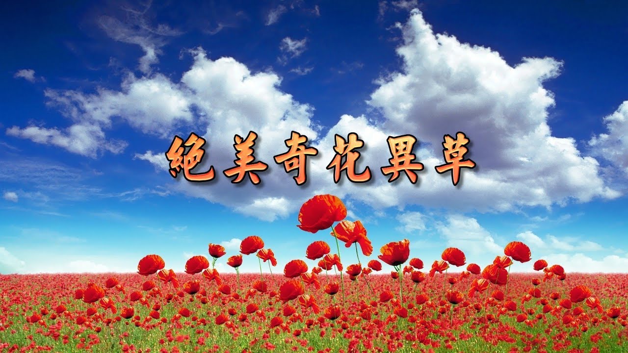 絕美奇花異草 The weird flowers