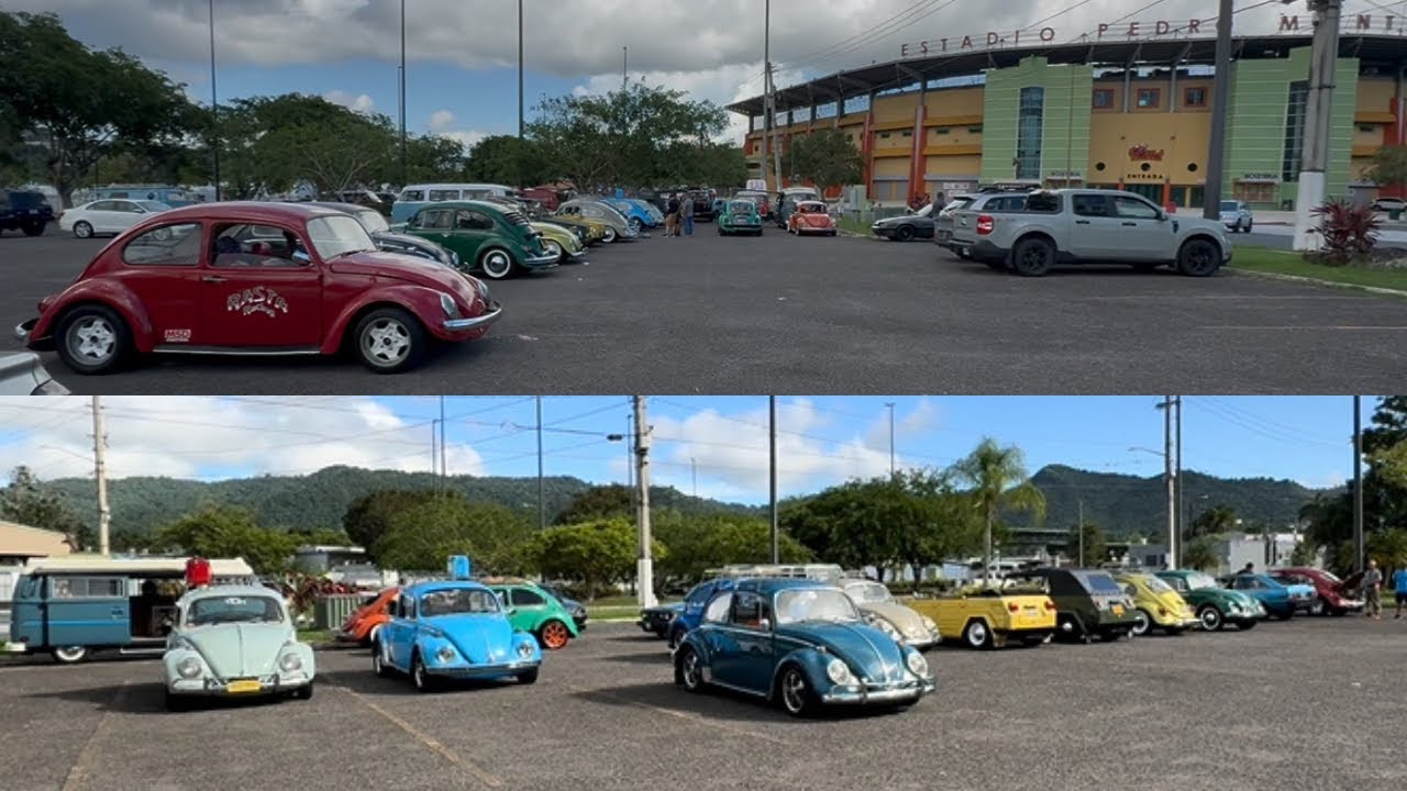 VW Show - Volky Show in CAYEY Puerto Rico 🇵🇷