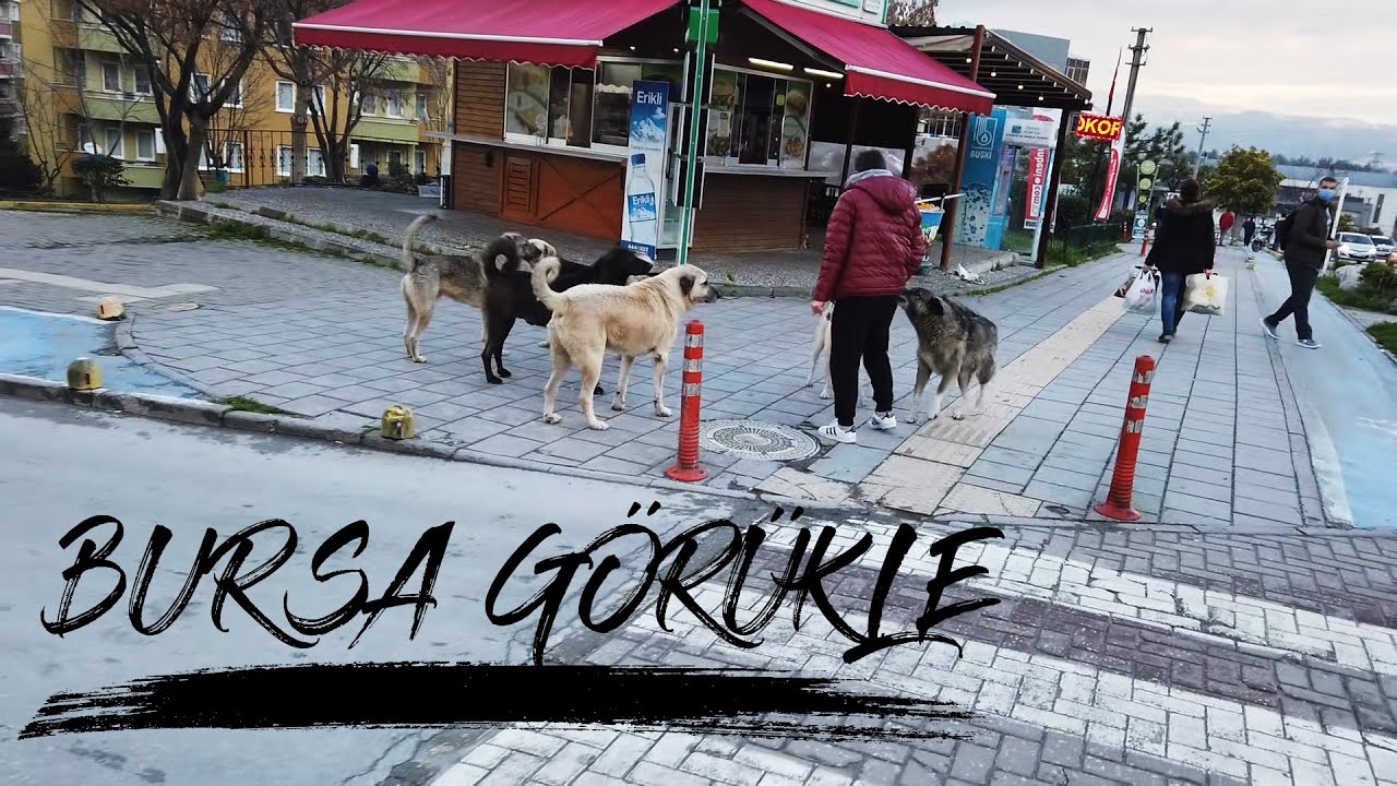 Bursa Görükle | Görükle Bursa'yı Geziyoruz