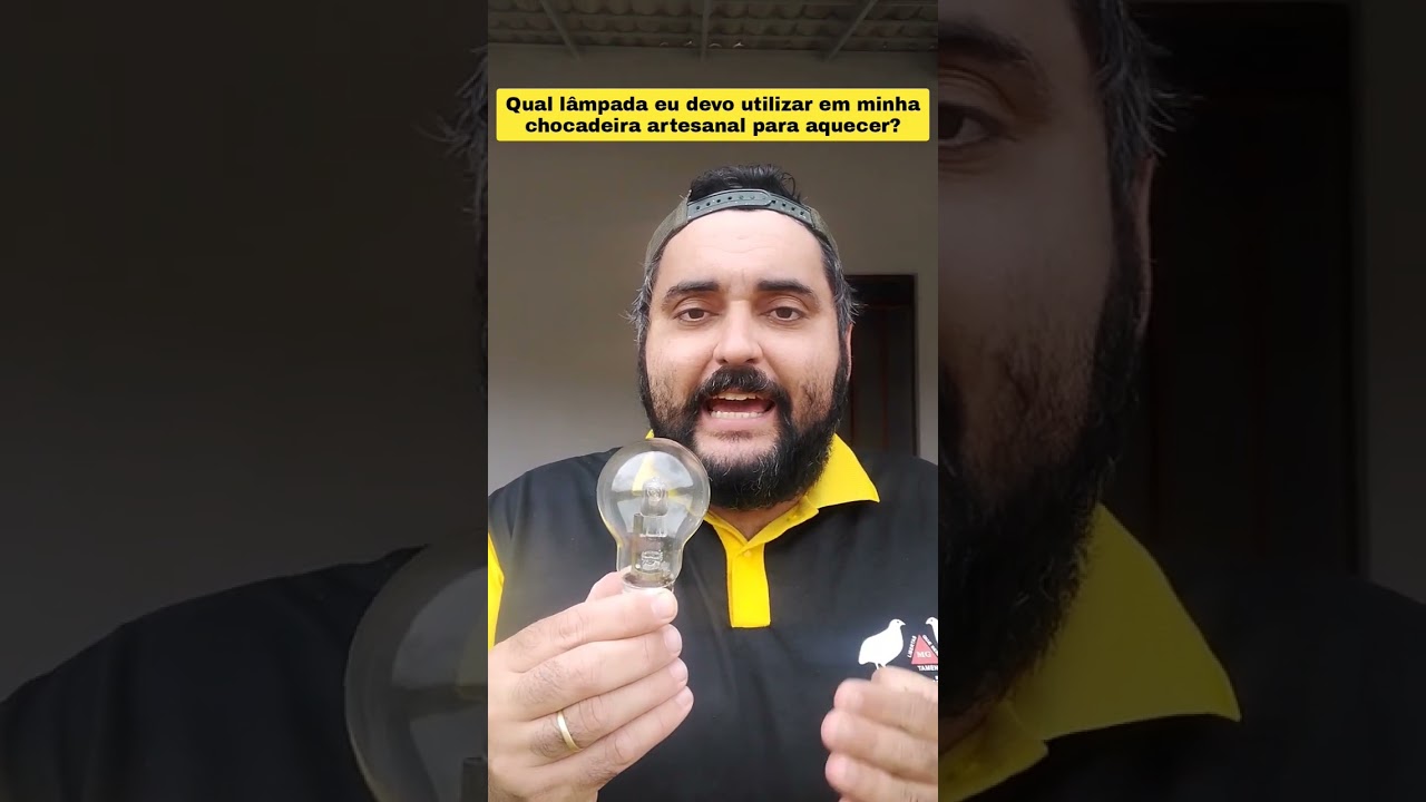 Qual l&acirc;mpada eu devo utilizar em minha chocadeira artesanal para aquecer? #shorts