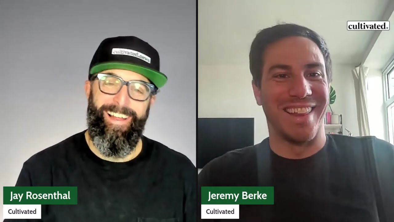 Jeremy Berke on Harris vs. Trump: Cannabis Reform Stances Explained