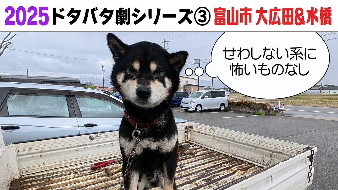 2025狂犬病予防注射会場のドタバタ劇③ 富山市大広田＆水橋編