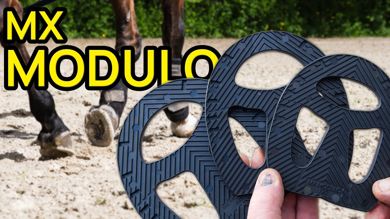 MX MODULO : la ferrure polyvalente pour votre cheval