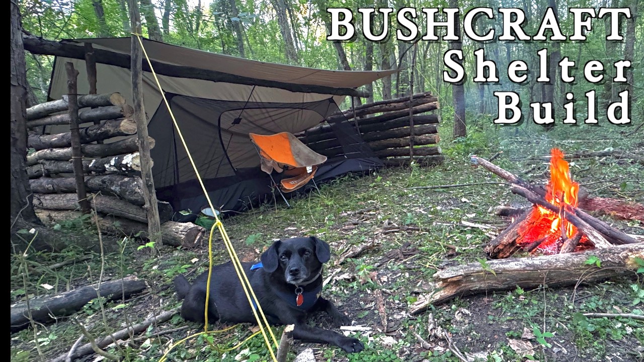 BUSHCRAFT SHELTER Build | Autumn Bushcraft Camping with my Dog