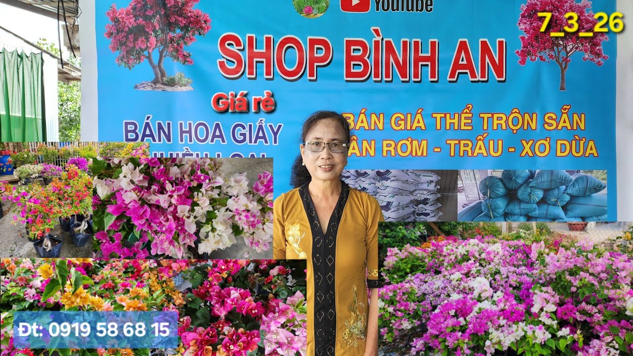 Ngày 7_3_26 nhà vườn Bình An tiếp tục giao lưu nhiều loại hoa giấy giá rẻ