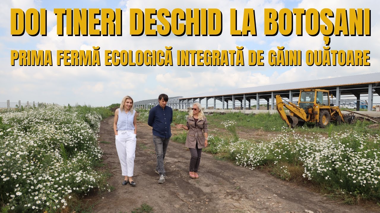Doi tineri deschid la Botoșani prima fermă ecologică integrată de găini ouătoare
