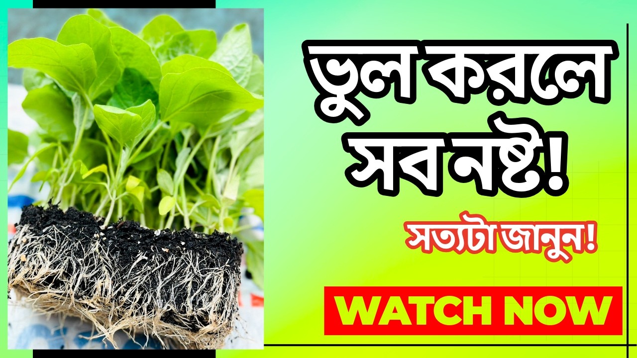 ইউকে তে নতুন বাগানীদের জন্য জরুরি গাইড 🌱 দেশী গাছ লাগানোর সঠিক নিয়ম | UK Gardening Tips Bangla 2026