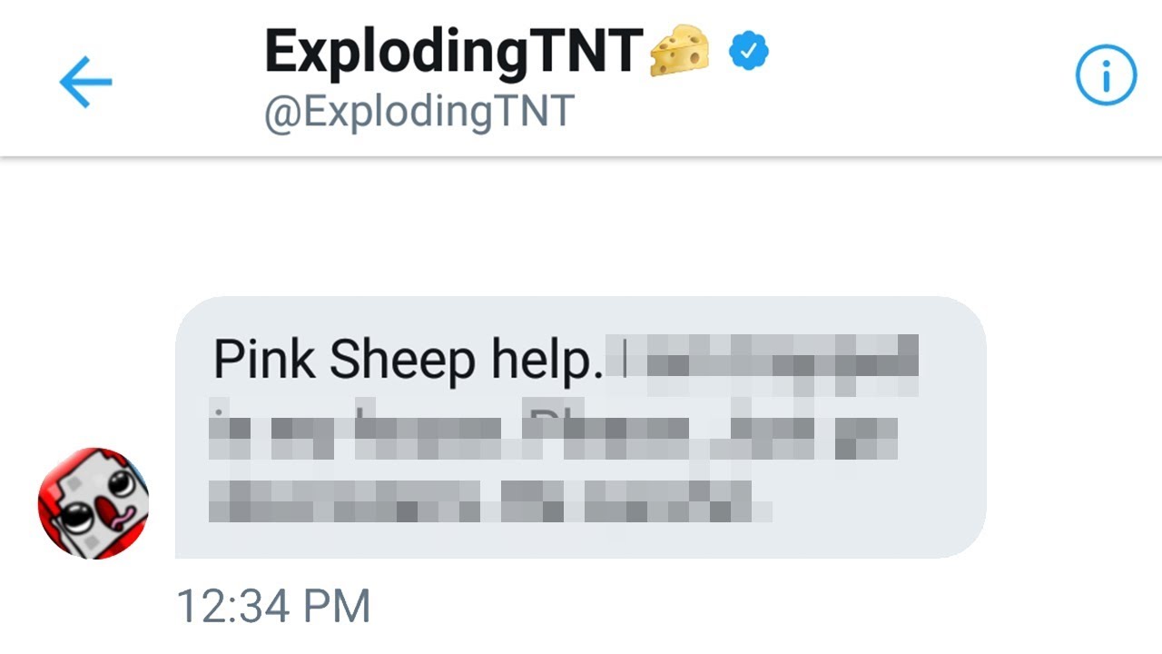 ExplodingTNT Sent Me This Private Message... (Minecraft)