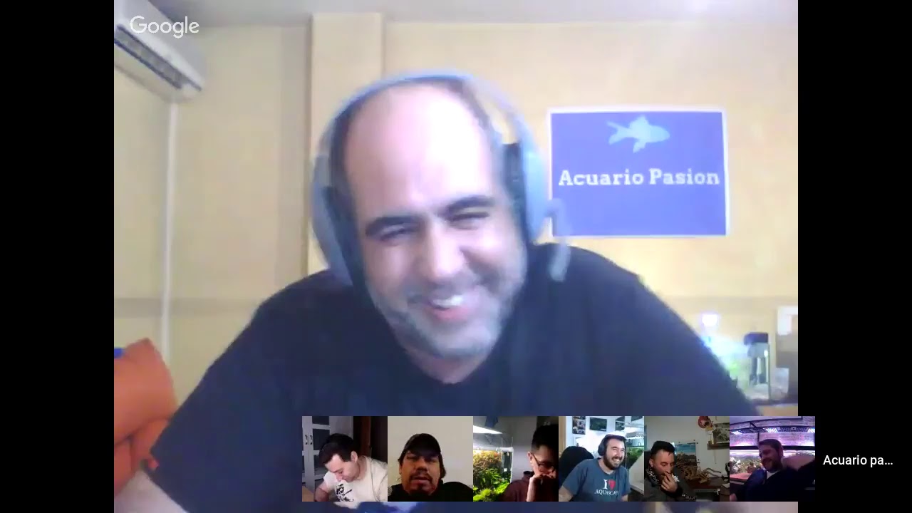 contestando comentarios con acuarios xl y raycar acuarios