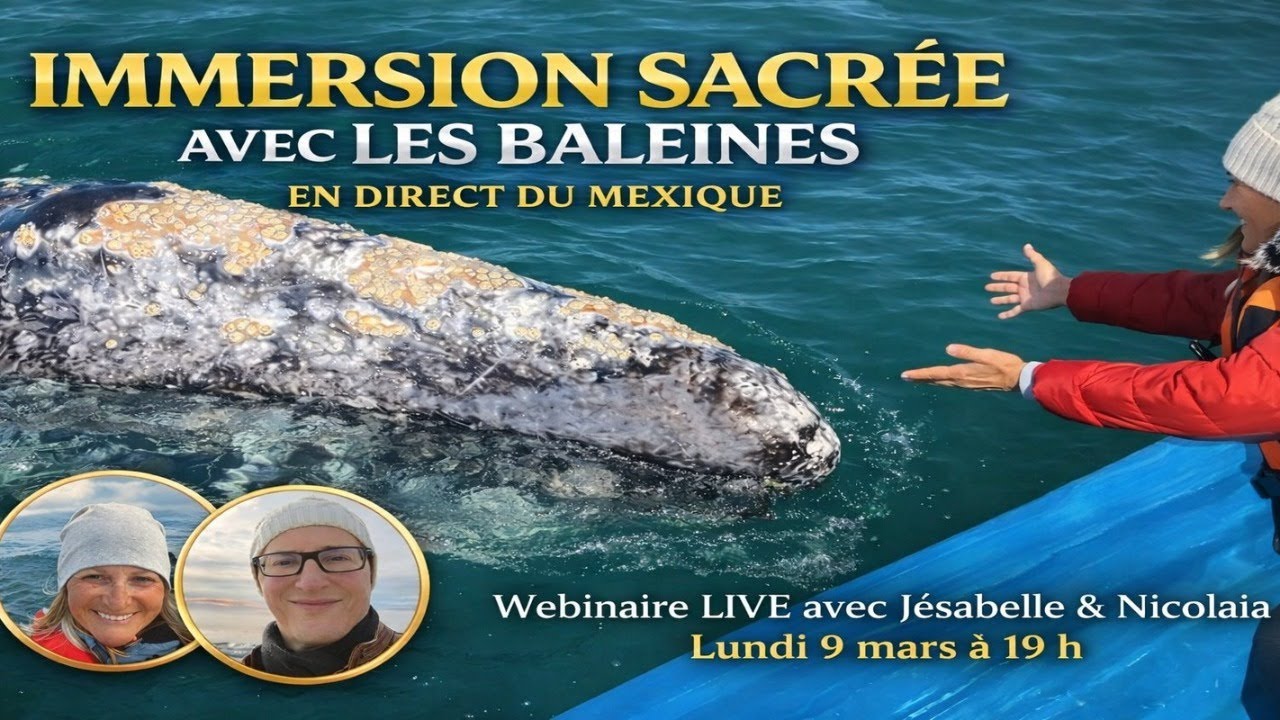 Ce que les baleines réveillent dans le cœur humain | Une expérience vivante et bouleversante