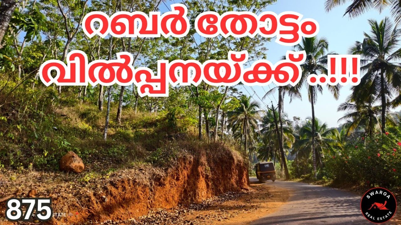 875: റബ്ബർ തോട്ടം ആവശ്യമുണ്ടോ? +919447937123
