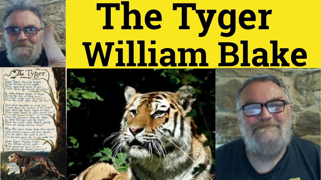 🔵The Tyger by William Blake Analysis - The Tyger William Blake Explanation - The Tyger Summary Blake