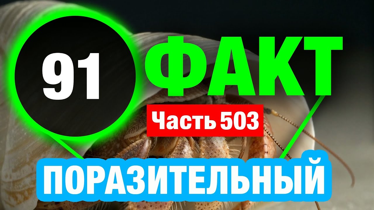 91 Поразительный Факт Который Сделает Вас Умнее