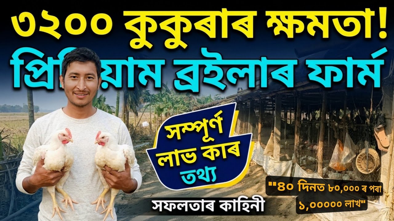 কেনেকৈ কোম্পানী ব্ৰইলাৰ ফাৰ্ম আৰম্ভ কৰি ভাল টকা উপাৰ্জন কৰিব পাৰি অসমত?COMPANY BROILER FARMING ASSAM