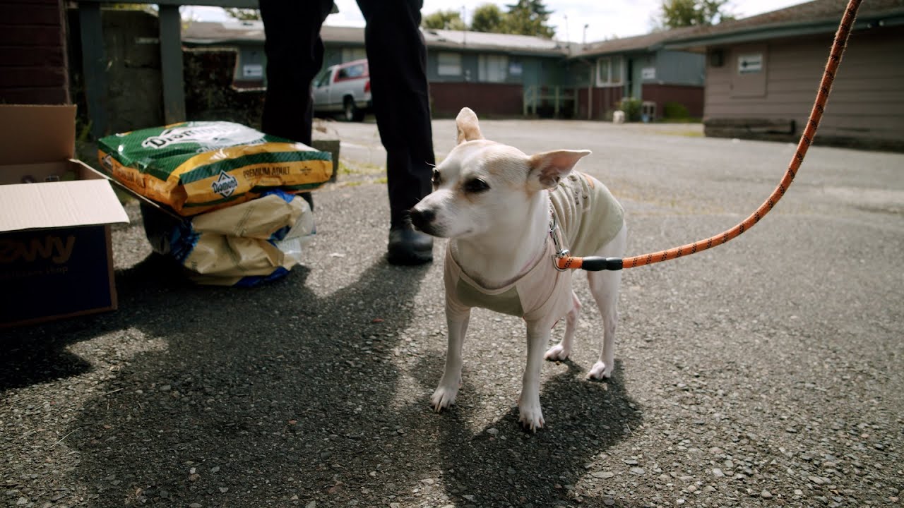 Seattle Animal Shelter outreach program