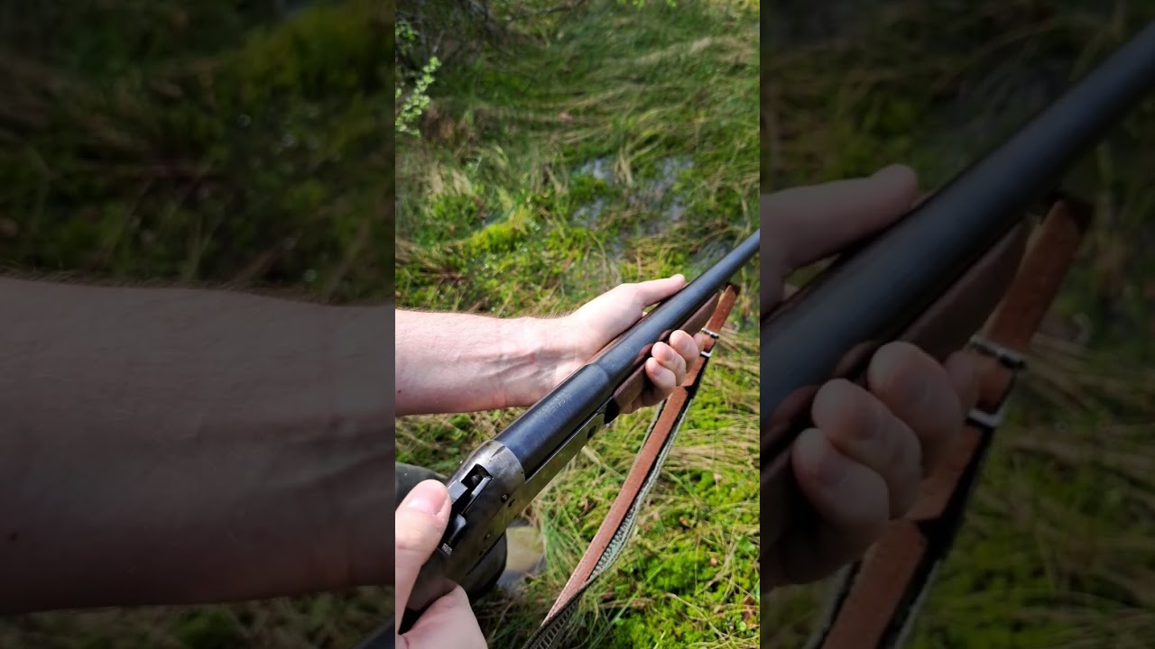 Single shot 12 gauge break action shotgun #old #shorts #youtubeshorts