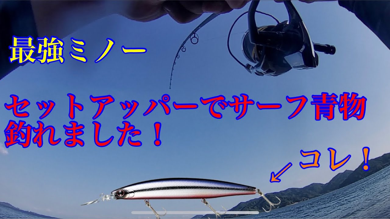 【セットアッパー145-sdr】サーフで初めて青物釣れました！！