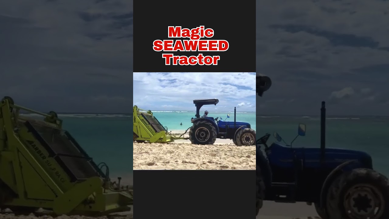 Magic Seaweed Tractor - Punta Cana, Dominican Republic #seaweed #sargassum #puntacana