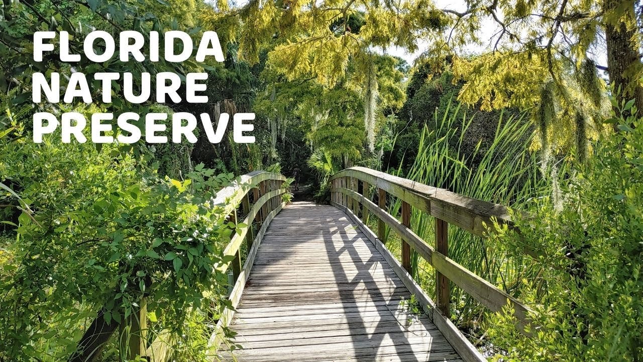 Florida Nature Preserve | Boyd Hill Hiking Trails | St. Petersburg, FL