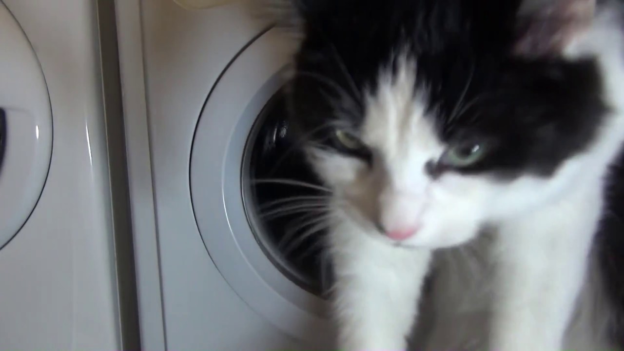 Indesit Start IWC6165 : Synthetics half load : Main Wash (Pt 1 of 2)