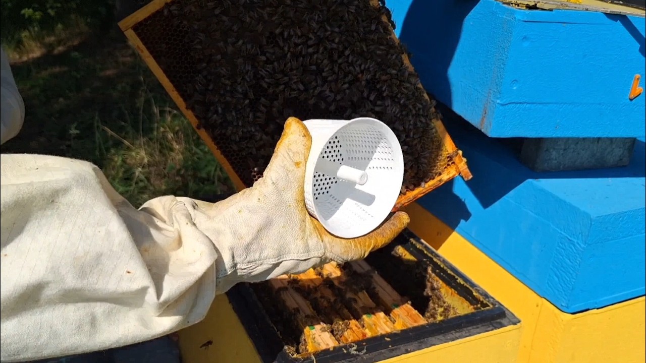 Varroa EasyCheck, diagnostyka i monitoring rodzin pszczelich, flotacja alkoholowa, reinwazje warroza