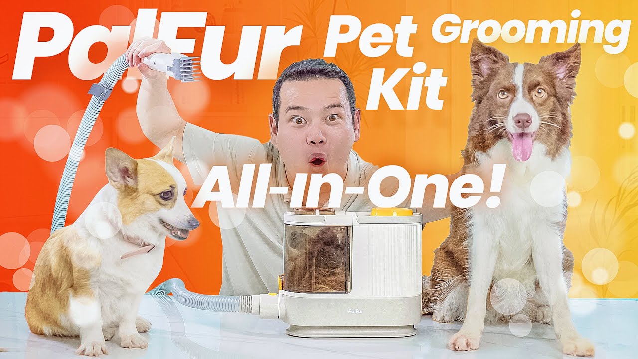 PalFur: Best Pet Grooming Clipper in 2023! (VS Neabot/Oneisall)