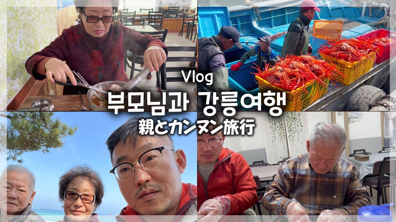 한국여행 브이로그 | 강릉 당일치기 여행 | 부모님과 함께한 경포대 주문진 | 강릉에 반드시 가봐야할 여행지 | #강릉 #홍게 #해물짬뽕