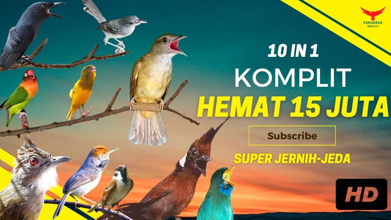 INI BEDA‼️ SEMUA Ada DISINI❗️HEMAT 15 JUTA (Kompilasi Masteran)