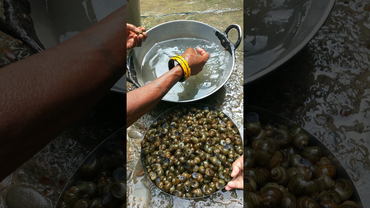 Ghonghi recipe || Famous Tharu food ❤️