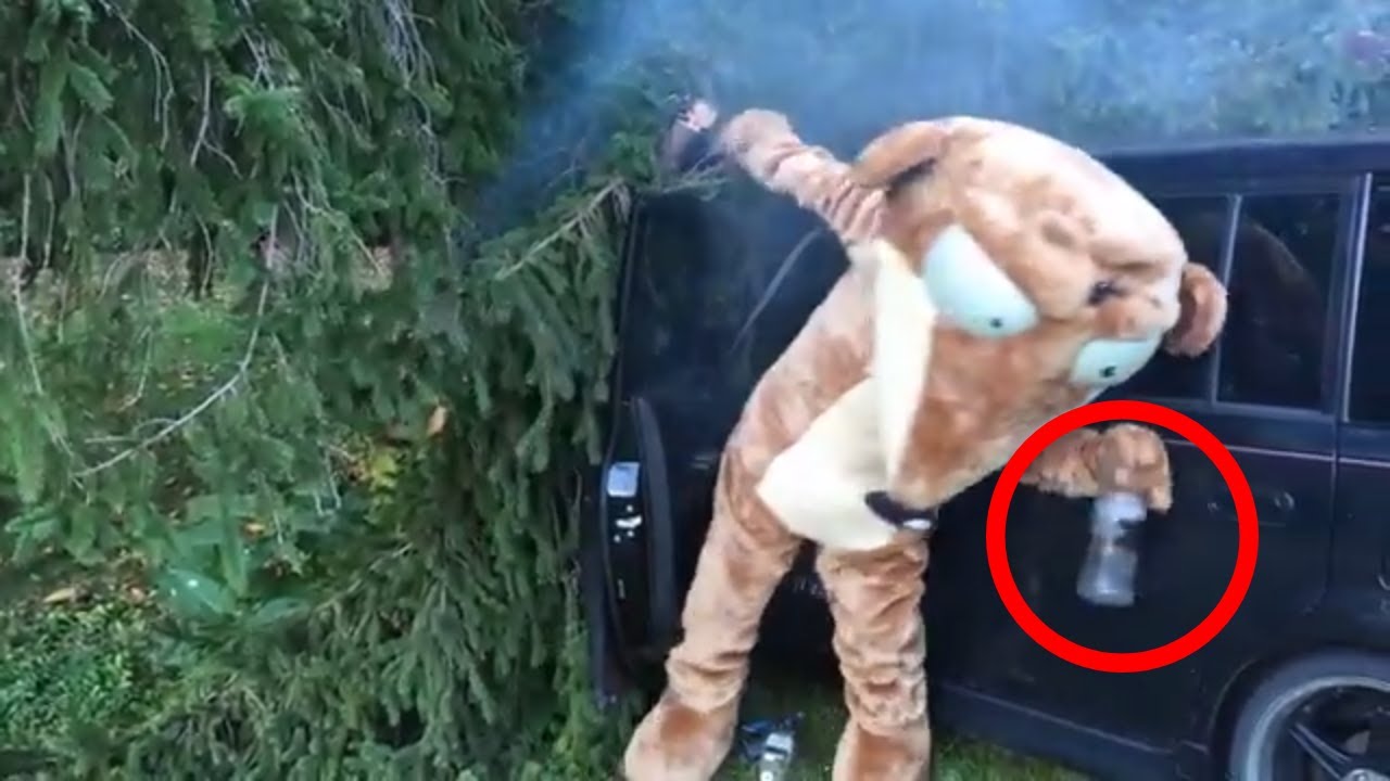 Drunk Weasel Files False Insurance Claim