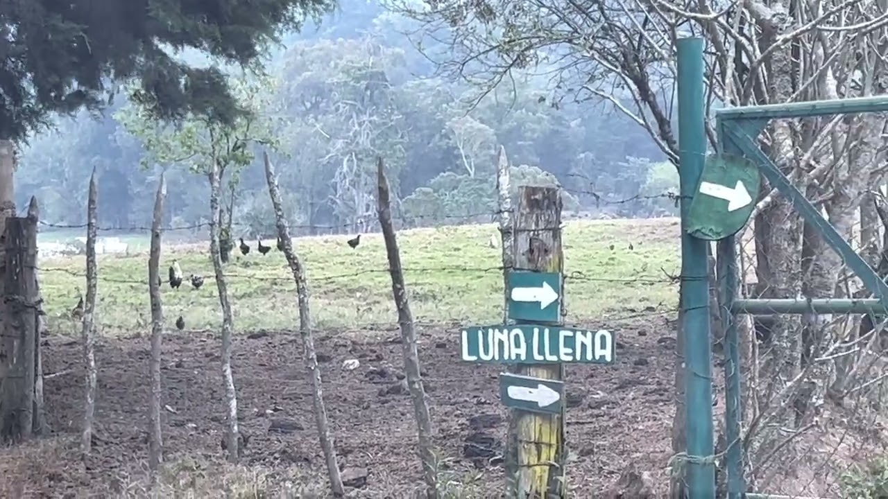 Como es el Glamping 🏕 en Ciudad de Guatemala 🇬🇹 Luna llena parque de Montaña