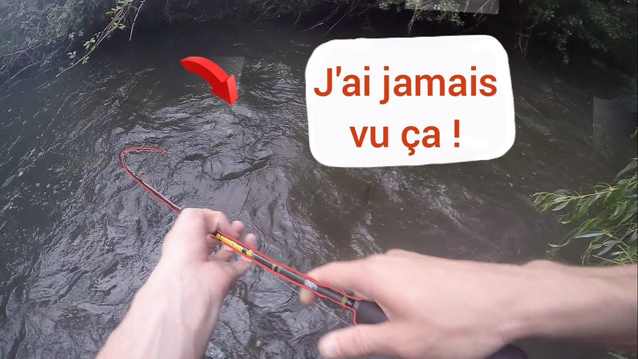 Ces TRUITES sont IMPOSSIBLE a pêcher !