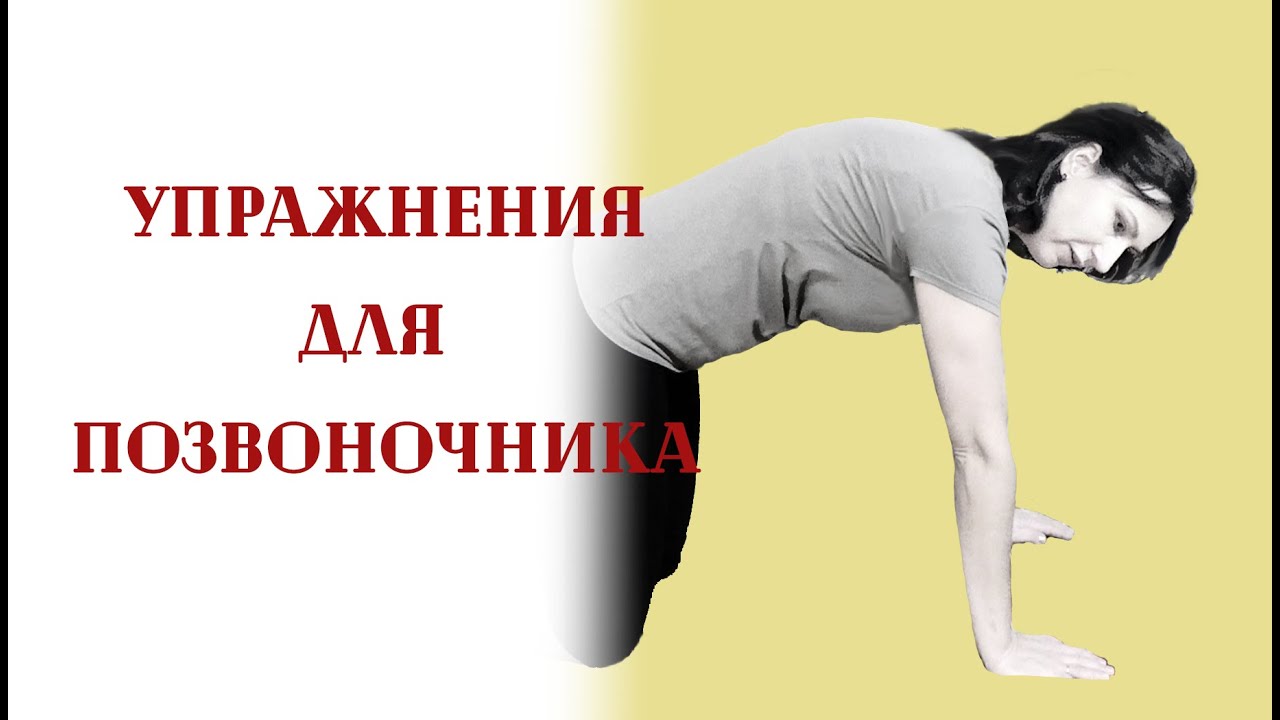 Упражнения для позвоночника. Круговые движения на четвереньках