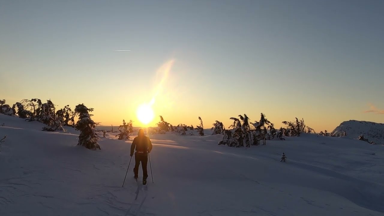 Lifjell vinter 20/21