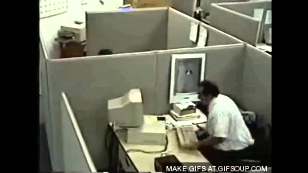 DIRTMAUL