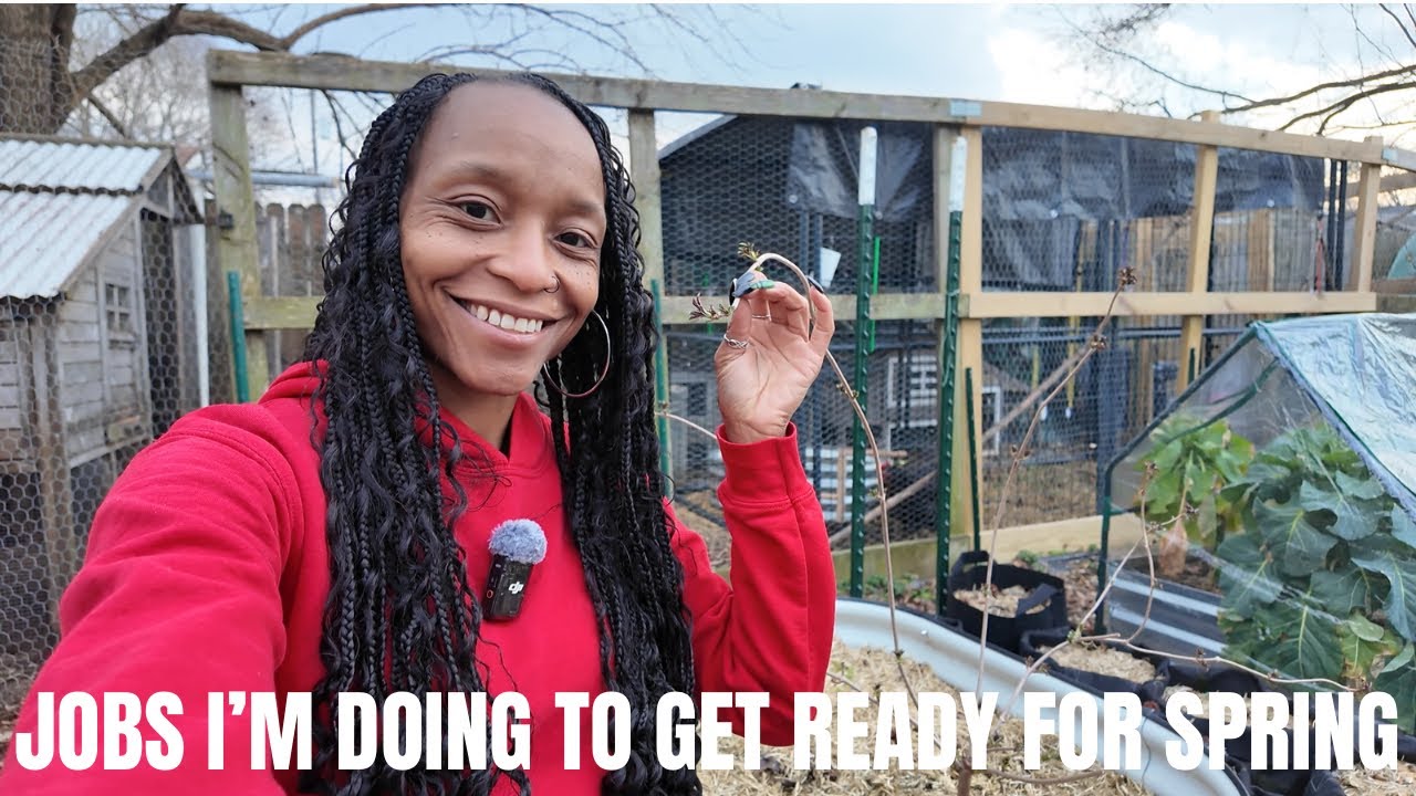 Spring Me Please (13) | Knocking Out Some Outdoor Chores | I Moved Some Things | Chicken Update