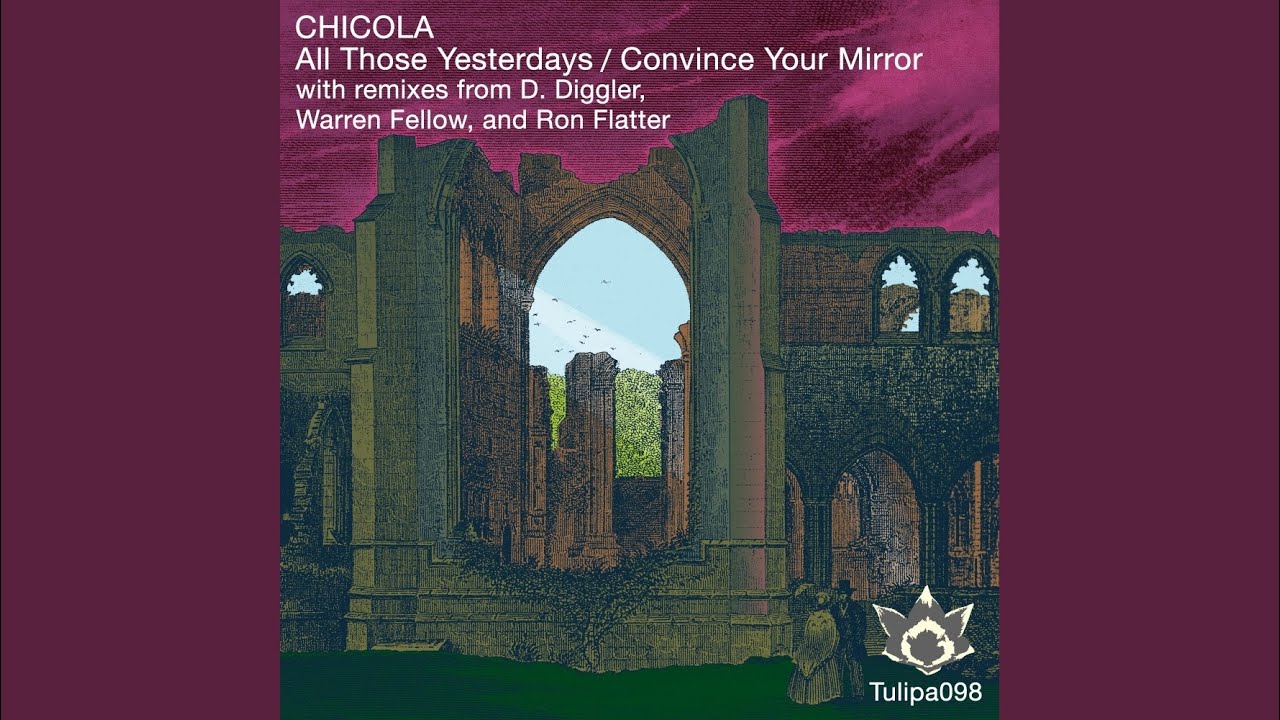 Convince Your Mirror (Ron Flatter Remix)