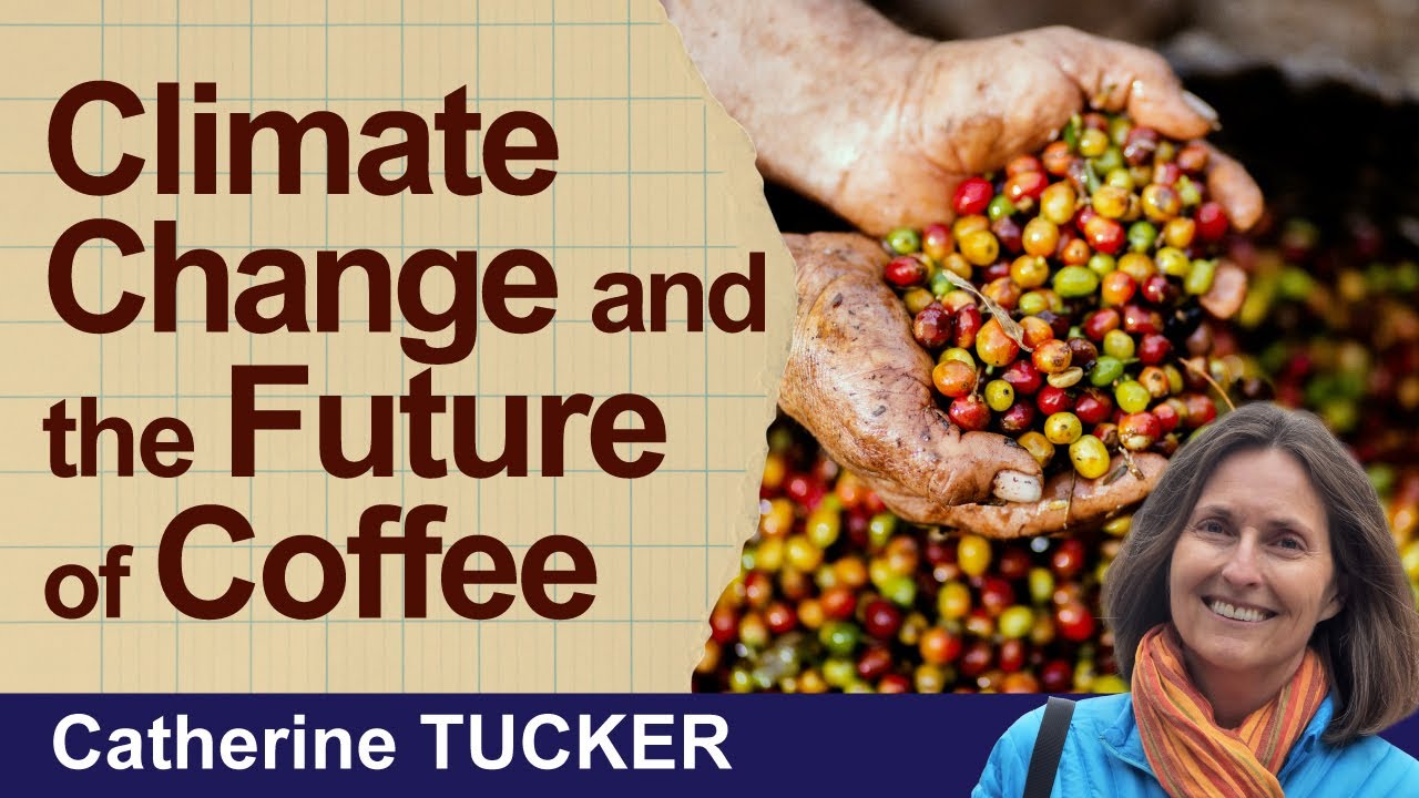 Coffee, Sustainability and Climate Change (July 30, 2025)