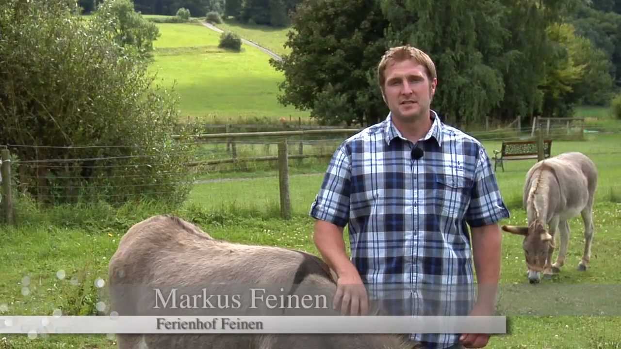 Ferienhof Feinen - Bauernhofurlaub in der Eifel