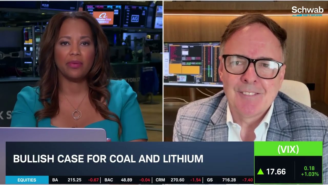 McDonald: Expect A.I. Chip Pullback, Big Banks Overbought, Bull Case for Coal
