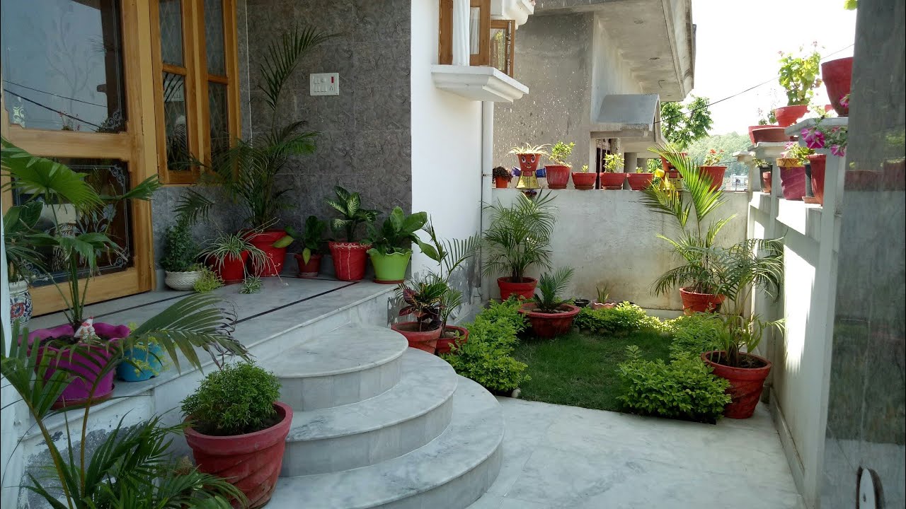 My little entrance garden overview /मेरे छोटे से बगीचे की सैर/common house plants with name