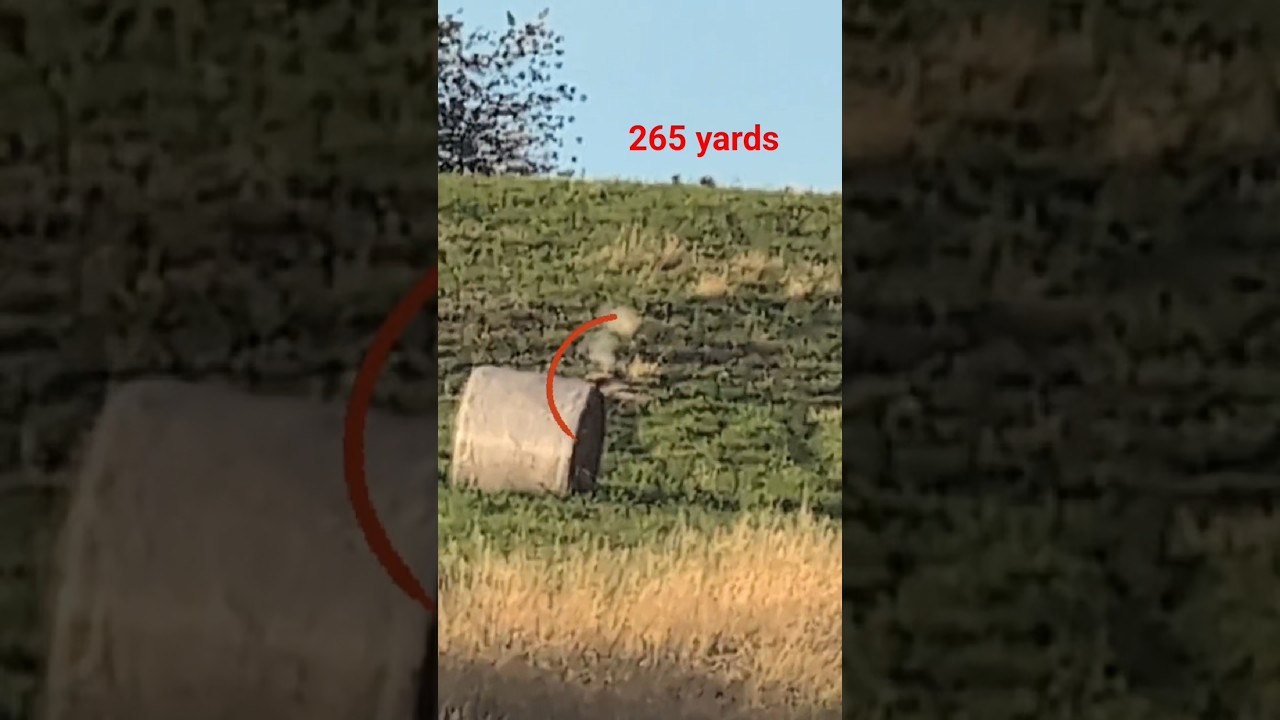 243 vs destructive groundhog.  #pest #farm #farmlife #groundhog #rodent #hunting #safetyfirst #far