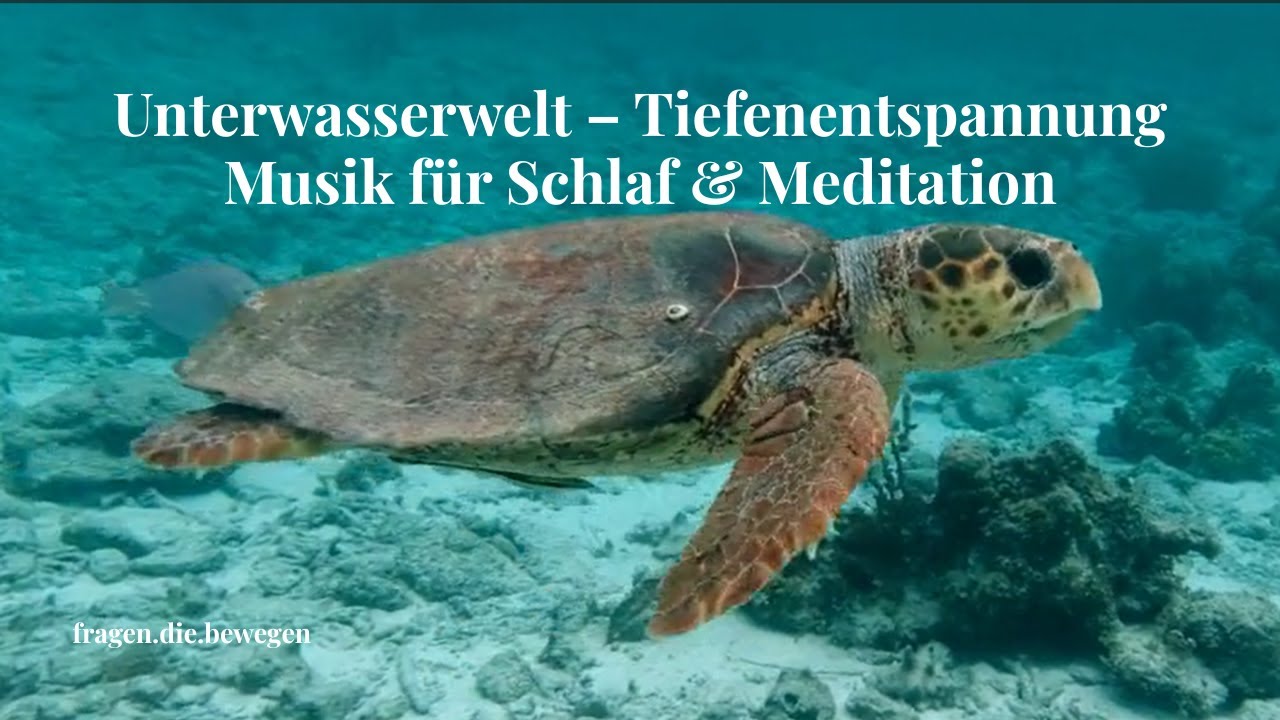 Unterwasserwelt - Tiefenentspannung Musik für Schlaf & Meditation